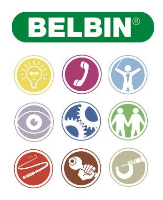 logo-belbin