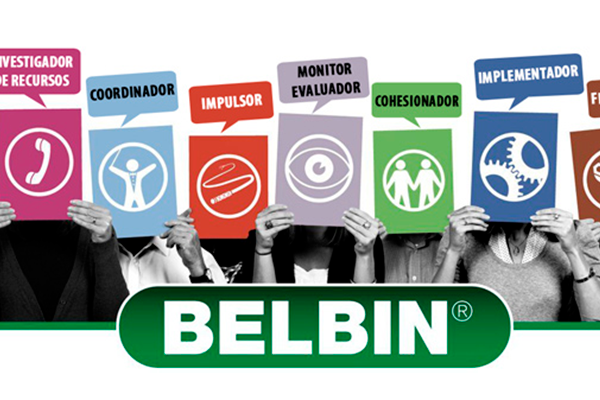 mt-belbin